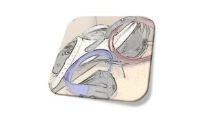 Saddle Straps