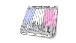 Stirrup Straps